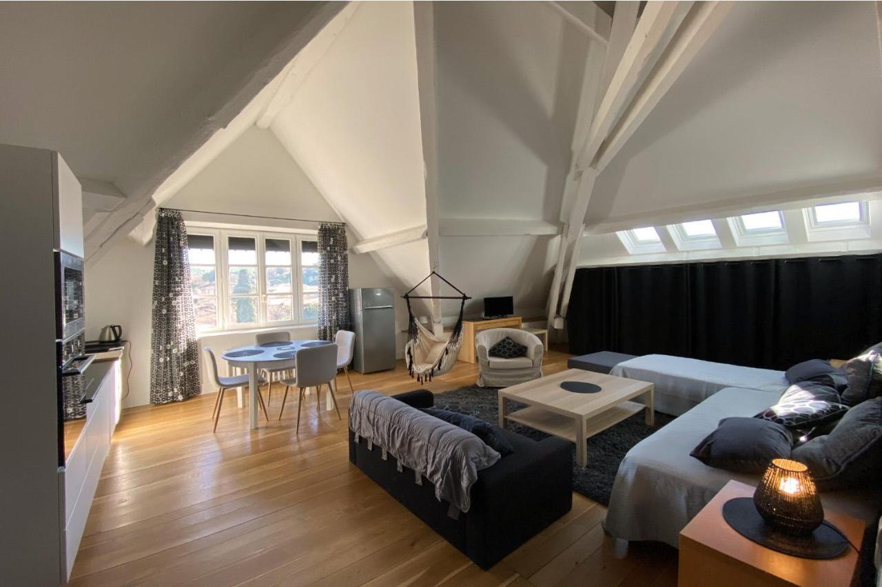 קרקסון Demeure Saint Louis Historic Manor, City 700M, Parking,A C,Clim,Wifi, Heated Pool, City View מראה חיצוני תמונה